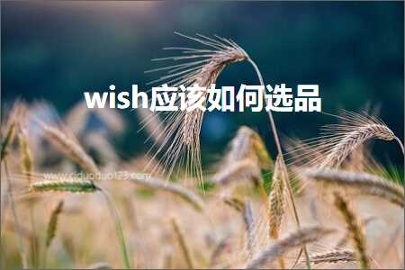 黔江网站推广 跨境电商知识:wish应该如何选品